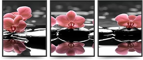 Linilioart Lienzo decorativo para pared de 3 piezas, diseño de orquídeas en color negro, blanco, gris, rosa, hermosas flores elegantes para baño, dormitorio, sin marco (30 x 40 cm)