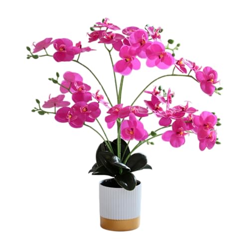 Anynoch Orquídeas Artificiales Amarillas 50 cm Diez Puntas 33 Pétalos en Maceta con Fondo Dorado Rosa Decoración de Phalaenopsis para Sala de Estar, Hogar, Oficina, Bodas y Fiestas (Morado)
