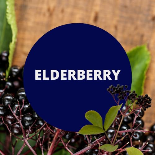 Black Canyon Elderberry Scented Body Lotion with Lanolin and Jojoba Oil, 12 Oz - Image 6