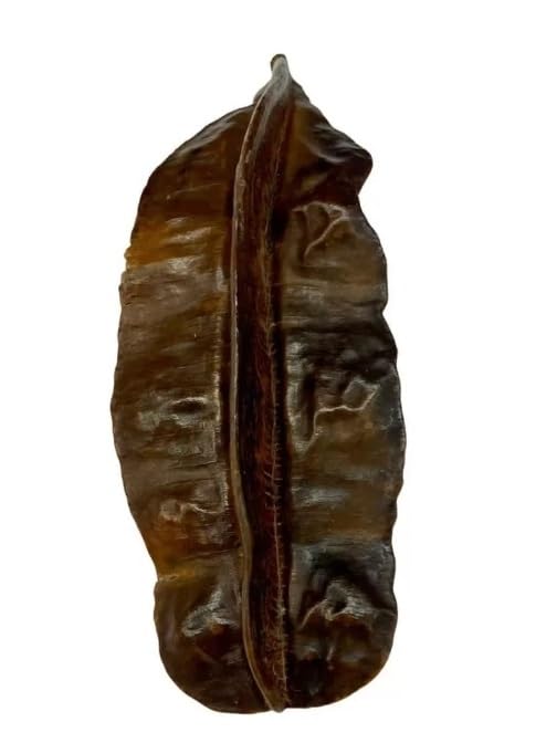 Fava De Aridan Africana Original Unidade Rituais Religiosos