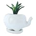 Cute White Ceramic Elephant Pot with Saucer Tray - Ideal for Small Succulent - Home & Office Decor Accent (Large Elephant, White)