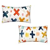 Kissenbezug 25x50 Einfachheit 2er Set Samt Kissenbezug Bunt Sofakissen Weiche Kissenhülle Quadratische Dekokissen Zierkissenbezug mit Unsichtbarem ReißVerschluss für Sofa Wohnzimmer Schlafzimmer H-46