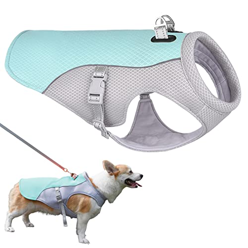 tongfeng Arnés de enfriamiento para perro, arnés de chaleco transpirable para mascotas, chaleco refrescante para clima cálido para senderismo, entrenamiento, ejercicio, montañismo, paseo