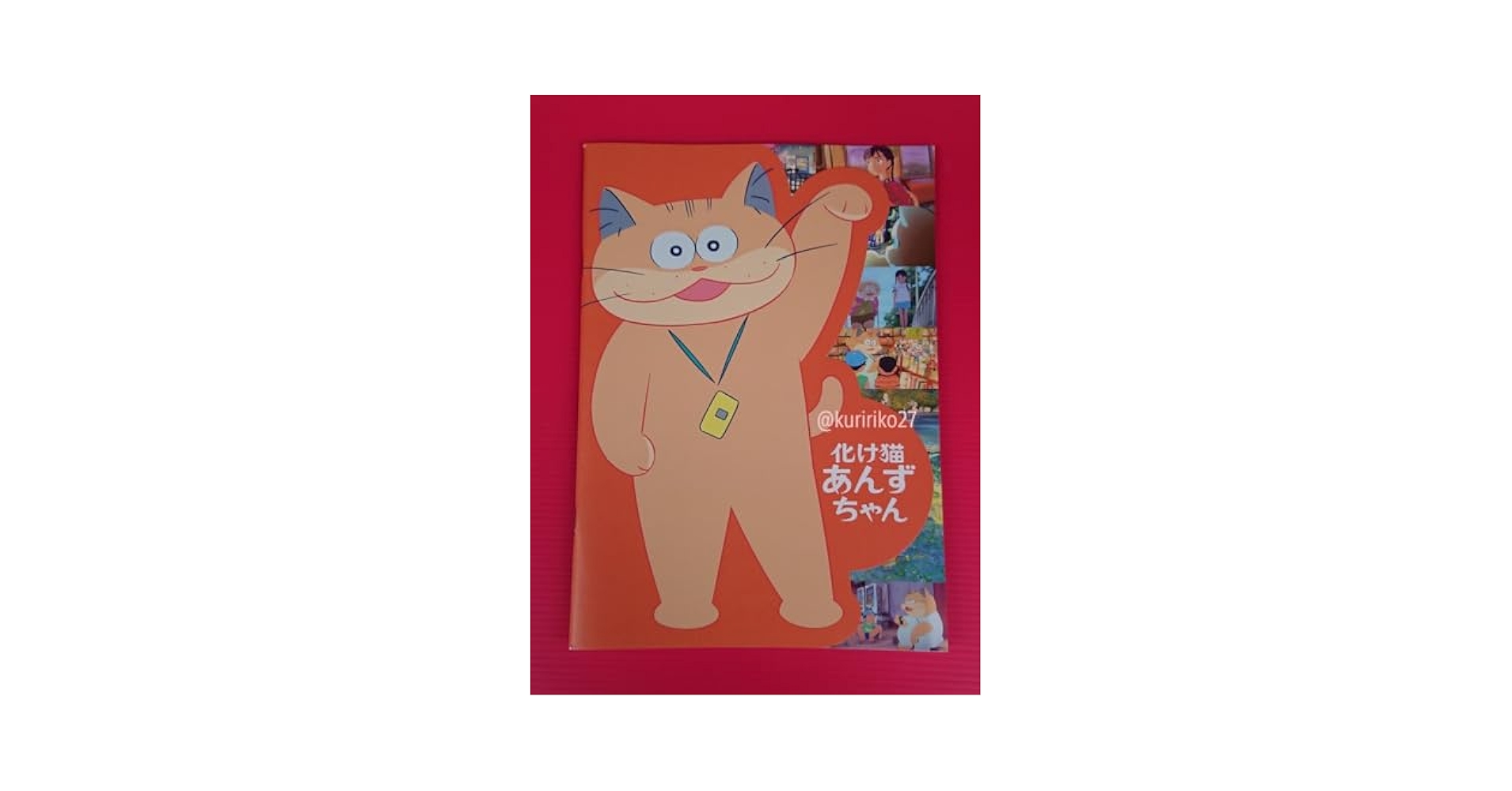 Amazon.co.jp: ・映画パンフレット+チラシ+冊子 化け猫あんず