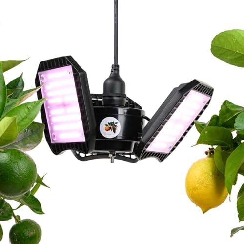 Meine Orangerie - LED-Pflanzenlampe FLEX [100W] - Vollspektrum LED Pflanzenleuchte zur Überwinterung von mediterranen Pflanzen - Entwickelt mit den Zitruspflanzen-Profis (LED Lampe