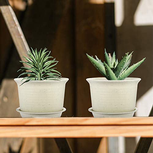 Planters, ZOUTOG 6 inch Plastic Plant Pots Indoor with Drainage Hole and Tray, Pack of 15 - Plants Not Included, Beige