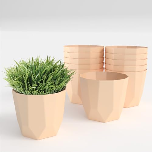 Image of YUCCABE ITALIA SHERA Hexa Plastic Planter Pot for Plants Decorative Flower Pot UV Protected Lightweight Indoor Outdoor Gamla for Home Decor, Balcony, Garden & Living Room (Beige, 4 INCH - 12 Pcs)