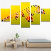SIGNWIN 5 Panel Canvas Wall Art Modern Art Ants Butterfly Colorful Insects Minimalist Multicolor Photography for Home Decorations Ready to Hang - 60