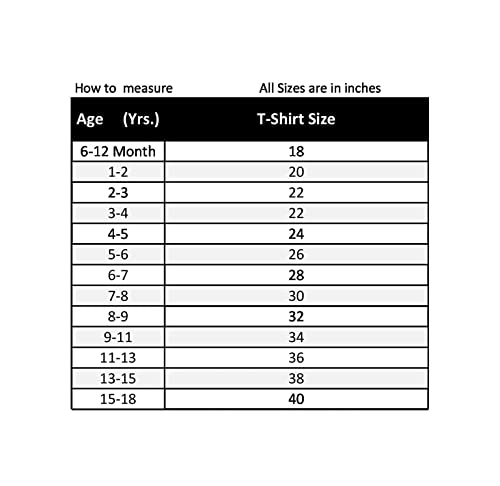 Image of ITSMYCOSTUME Bharatnatyam Costume Dress for Girls Set of 4(Bottom,Blouse,Hip Cloth & Anchal) Classical Dance dress for Kids