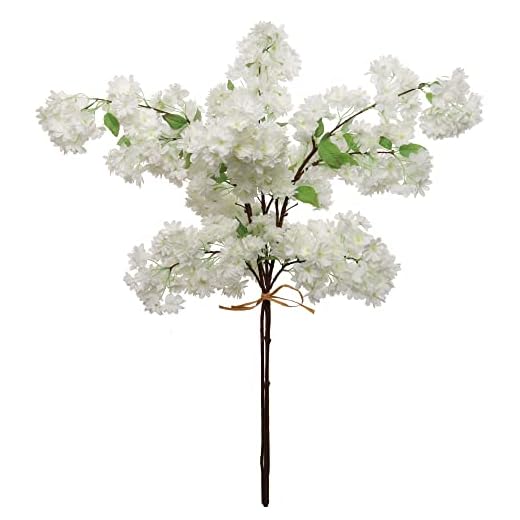 Beautiful White Cherry Blossom Stems