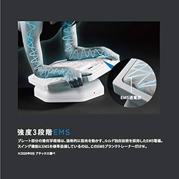 アテックス　ルルドボーテ　EMS ルルド 【公式店P10倍】アテックスルルド EMSリフトブラシ AX