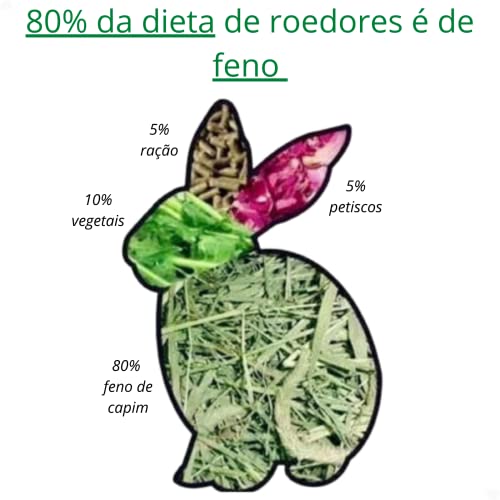 2kg de Feno Tifton Alimento Para Roedores
