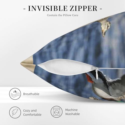 Housse de coussin canards colverts velours côtelé décoration maison