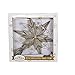 Kurt Adler UL3110 10-Light 6-Point Capiz Star Treetop With Scroll Design
