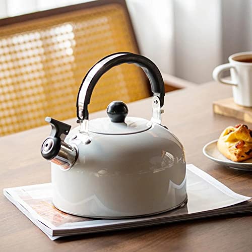 Bouilloire bouillante de thé de style raffiné PNAWLLCF de grande capacité D