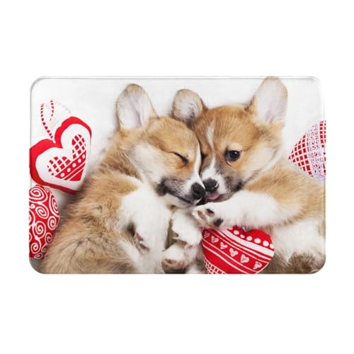 ���փ}�b�g�����R�[�M�[�������ʌ����A�j�������}�b�g�z�������R�ۖh�L�o�X�}�b�g�z������~�ߖh�J�r�������L���o�X���[���L�b�`���l�G���p�J�[�y�b�g���킢���v���[���g40×60cmgv112fd