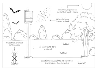 Bat House - Outdoor Bat Box Shelter - Handcrafted from Cedar Wood - Easy for Bats to Land and Roost - Weather Resistant & Ready to Install (Triple Chamber)