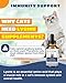 SANTKOL L-Lysine Supplement for Cats - Immune Support - 60ML Lysine for Feline Respiratory, Sneezing, Runny Nose, Eye Function - Natural Cat Antibiotic Drops - Roast Chicken Flavor