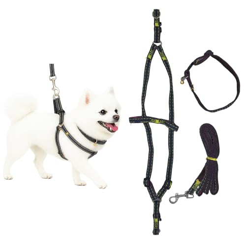 Adopet No Pull Dog Harness with Front Clip & Leash Set – Adjustable Dog Walking Vest with Soft Padding, Collar & Easy Control Handle - Black (Large)