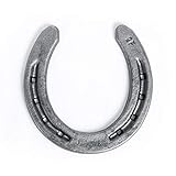 The Heritage Forge Steel Horseshoes Set for Horses, Crafts, Decorations and Backyard Games - Size 00 - R2-F - Sand Blasted 10 Shoes