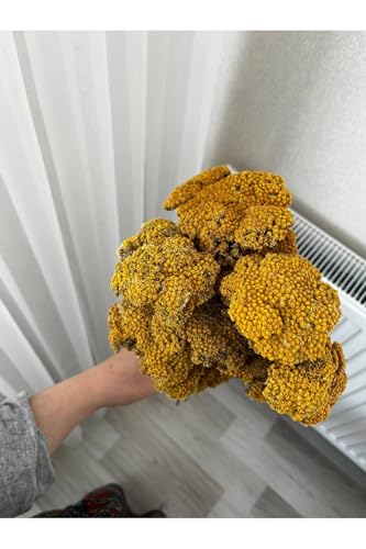 Ramo de Flores Secas Milenrama Amarilla Decoración Hogar miniatura 2