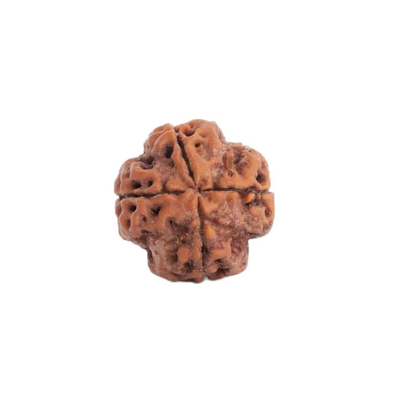 4 Mukhi Rudraksha soluciona la falta de confianza y el bloqueo creativo en creadores