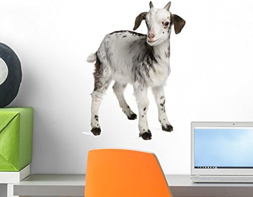 Rove Goat Kid Wall Decal Wallmonkeys Peel and Stick Animal Graphics (18 in H x 16 in W) WM53076