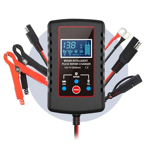 Trickle Charger for Car Battery 12V/6V,Smart Automatic Motorcycle Trickle Charger with Over-Charge Protection,Universal Battery Trickles Chargers for Cars,Motorcycles,Trucks