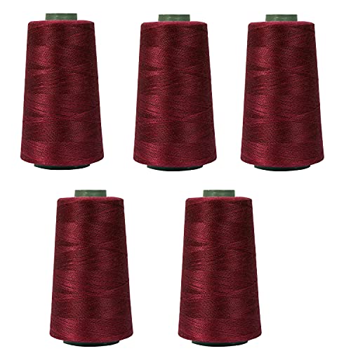 Image of Ace International Exports 3000M Overlock Polyester Sewing Thread Set Box Yarn Spools Cone Rust (Pack of 10 )