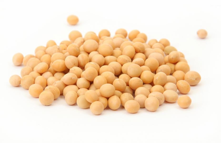 Organic Soy Beans 50# (50 lb.) Bulk
