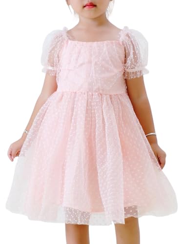 Toddler Girl Flower Gril Princess Dresses Dot Tulle Puff Sleeve Party Tutu Dress for Birthday