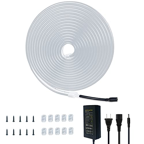 Dsjjbll Flexible Neon Rope Strip Night Light,Outdoor Indoor Led Cut Freedom 16.4Ft/Set Power Supply / Clip Included (White) #TOP3