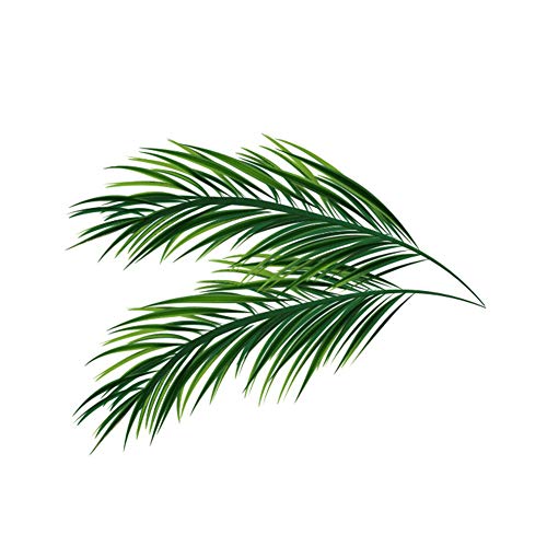 Suzanne.XY Wandaufkleber, tropische Pflanzenblätter, entfernbares Wandbild Wandaufkleber, Wohnzimmer Hintergrund Aufkleber für Flur TV Hintergrund Dekoration FX-F02 Cover