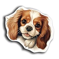 Cavalier King Charles