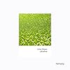 Hemway Glitter Shaker Lime Green 110g Ultrafine, Craft Glitter Shakers for Resin & Epoxy Crafts, Christmas Art Supplies, Nail, Festival, Crafting, Sparkle #1