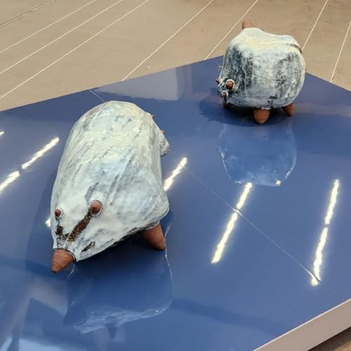 18 TOCAR A TERRA - LUCIANE SAKURADA - Broto I