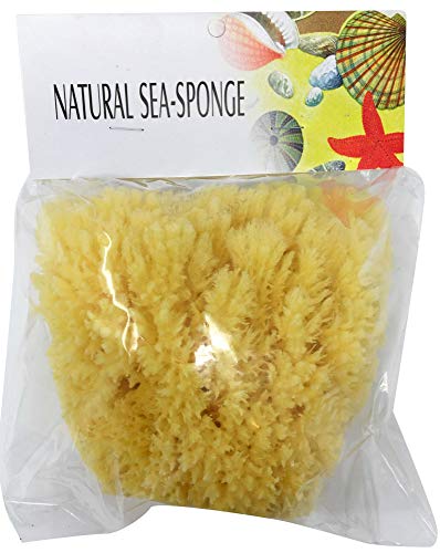 2 pack of 6"-7" Natural Ocean Real Sea Sponge By The Sponge Company Set of 2