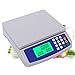 WCX Portatile Elettronica Scala Plastica ABS Bilancia Contapezzi di Precisione Display A LED Ad Alta Definizione per Negozio Cucina Ristorante Cibo (Color : White, Size : 10kg/0.5g)