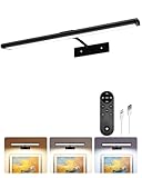 EZVALO Picture Light for Wall, 4800mAh Rechargeable Wireless Remote Battery Lights for Painting, 16In Dimmable Magnetic LED Art Display Light, Colors Temperatures, for Gallery, Living Room,Hallway