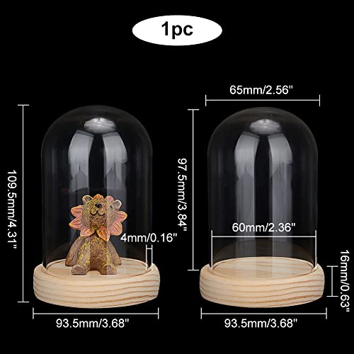 Ph Pandahall Glass Cloche Bell Jar Display Dome Case With Wood Base Glass Decoration Bottles For Plants Flower Display Clay Succulents Storage Home Christmas Party Favor Decoration 3.6X4.3 Inch #TOP5
