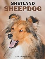 Shetland Sheepdog Calendar 2021-2022: Great 18-month Grid Calendar from Jan 2021 to Jun 2022 for all fans!!! B0915V5NN5 Book Cover