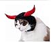 CHENSQ Copricapo dell'animale Domestico del Diavolo della Mucca del Gatto di Halloween, Le Corna del Gatto del Cucciolo dell'orsacchiotto Si trasformano nel Velo del Cappello