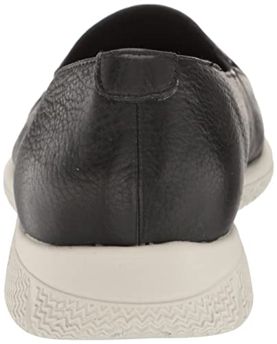 Image of Trotters Universal
