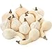 Factory Direct Craft Collection of 12 Assorted Size Harvest Off White Faux Gourds and Pumpkins
