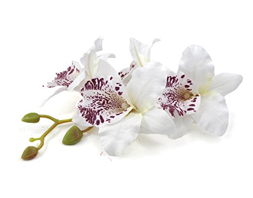 DreamLily Hawaiian Orchid Flower Hair Clip Hair pins for Beach Party BC14 (1PCS-White)