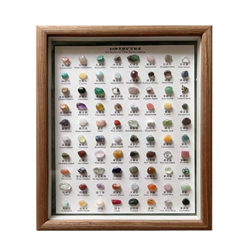Juego clásico de rugoso con 80 muestras minerales y cuadro expositor para casa