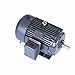Marathon,25 HP General Purpose Motor, 3 Phase, 3600 RPM, 230/460 V, 284TS Frame, TEFC