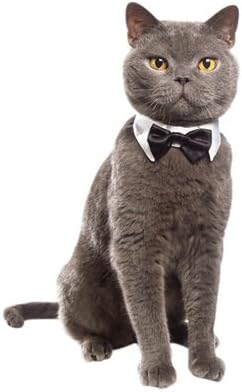 White Black Bow Tie Cat Kitten Pet Tuxedo Wedding Dicky Bowtie Shirt Collar 4 Sizes Tux Cravat Fancy Dress Ring Bearer Suit Size S
