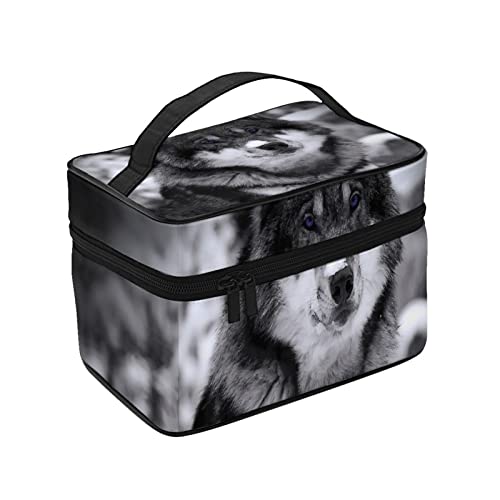 σ|[` CN|[` ~ IIJ~̐ RX[ ֌g σobO ϔ vp σP[X ^ CN{bNX e ϕi[obO ʗp s op y  ϓ Jo[t̃t@Xi[