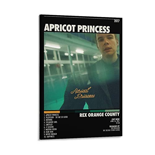 Poster Rex Orange County Apricot Princess 4 impression haut de gamme